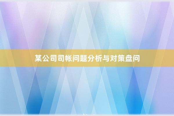 某公司司帐问题分析与对策盘问