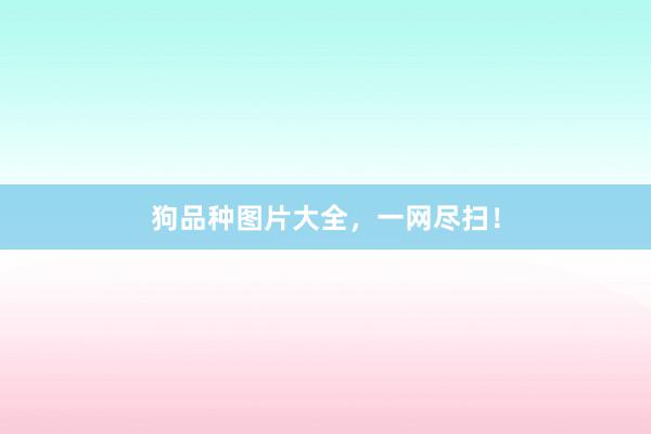 狗品种图片大全，一网尽扫！