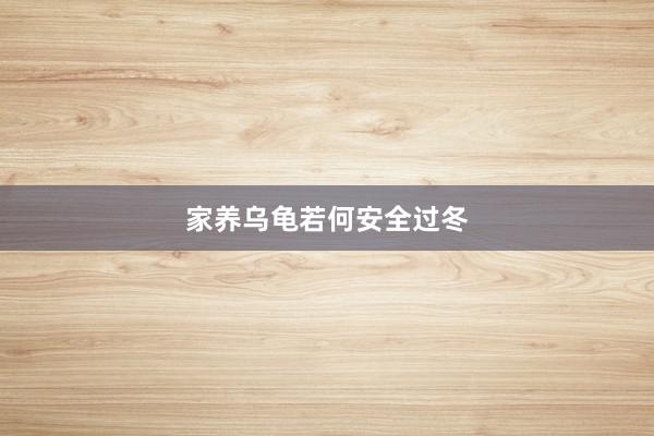 家养乌龟若何安全过冬