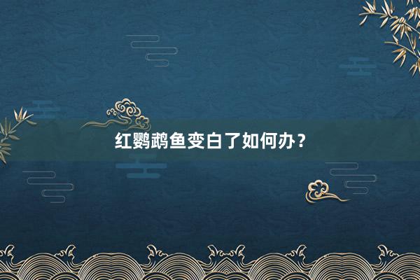 红鹦鹉鱼变白了如何办？